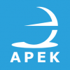 Apek logo